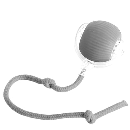 Smart Self-Rolling Pet Ball