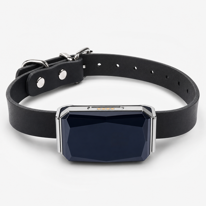 GPS Pet Tracker Collar for Lost Pet Location Tracking