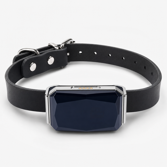 GPS Pet Tracker Collar for Lost Pet Location Tracking