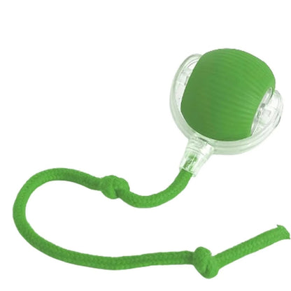 Smart Self-Rolling Pet Ball